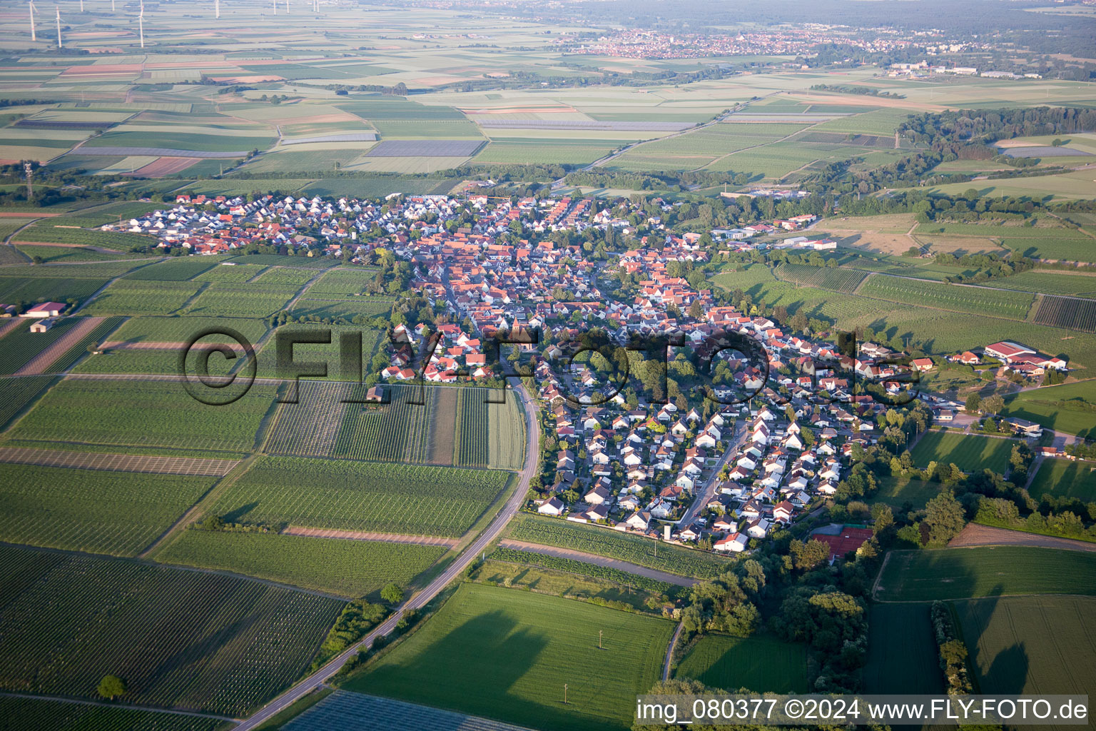 Aerial view of Insheim in the state Rhineland-Palatinate, Germany