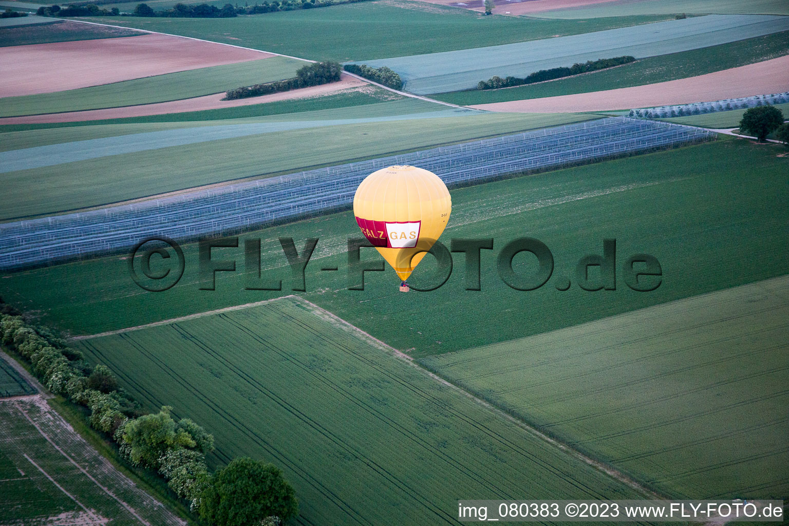 Hot air balloon in the district Herxheim in Herxheim bei Landau/Pfalz in the state Rhineland-Palatinate, Germany