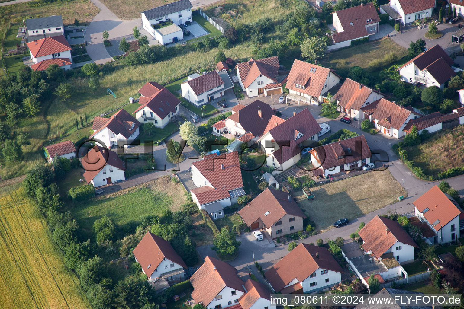 Zeiskam in the state Rhineland-Palatinate, Germany from the plane