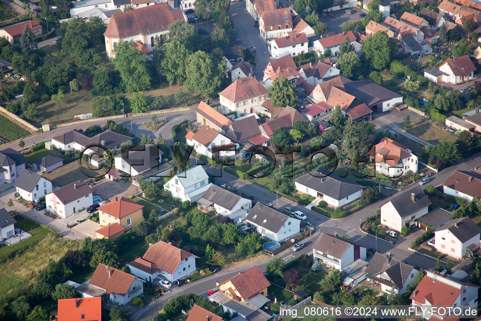 Zeiskam in the state Rhineland-Palatinate, Germany from the drone perspective