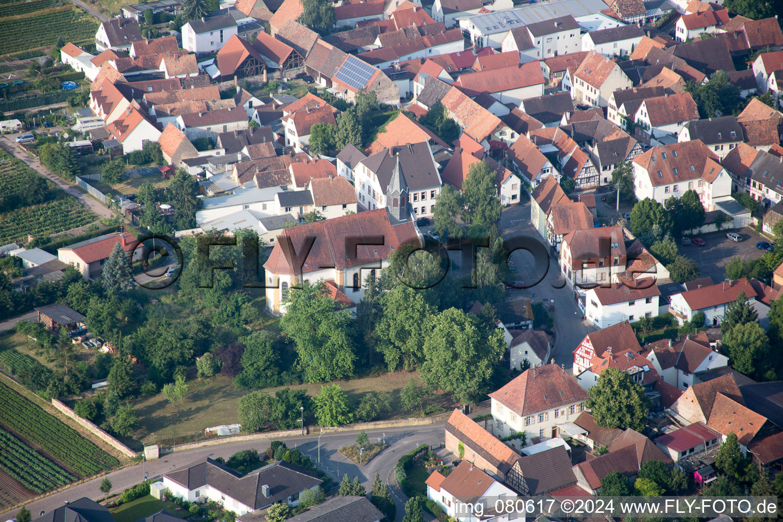 Zeiskam in the state Rhineland-Palatinate, Germany from a drone