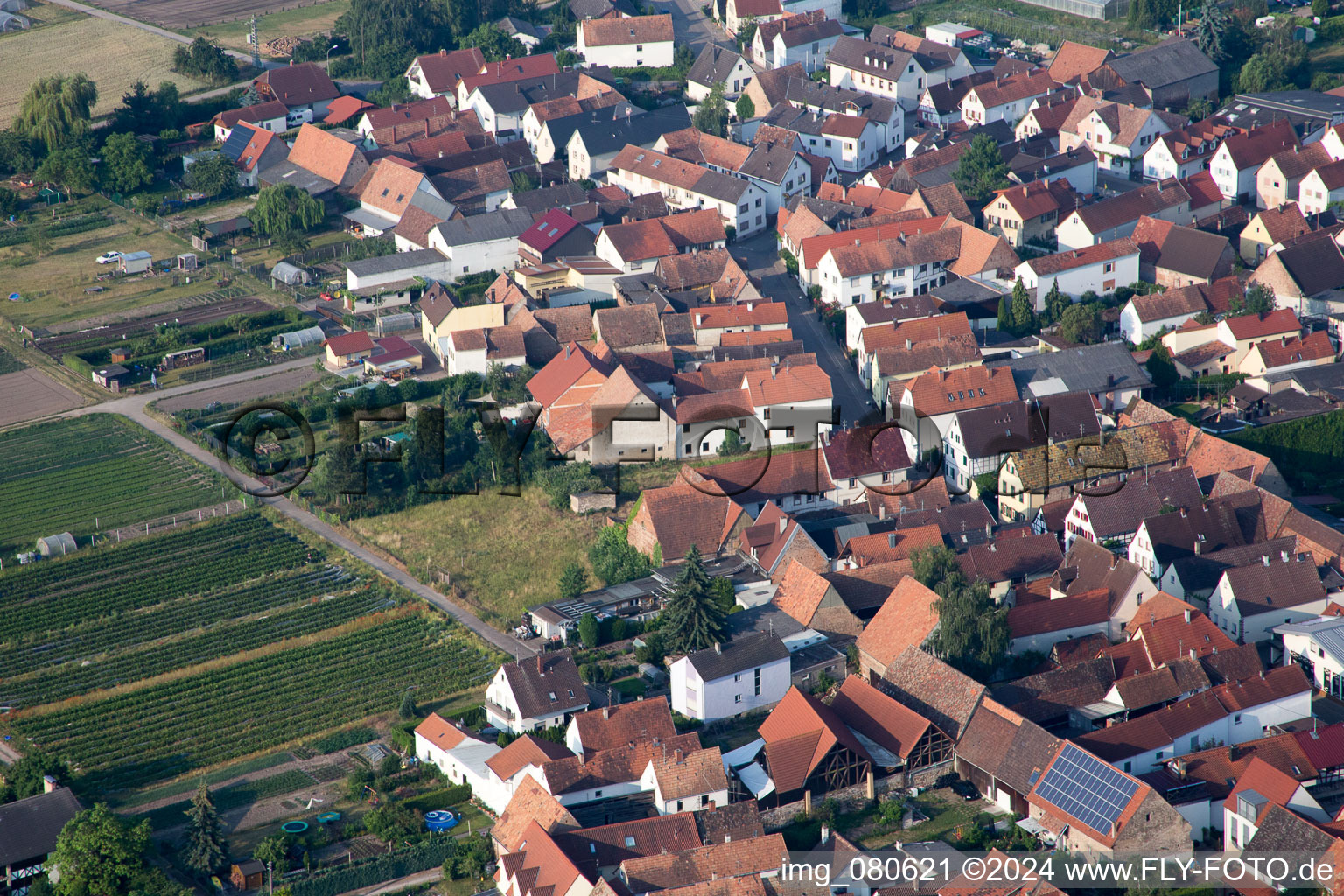 Oblique view of Zeiskam in the state Rhineland-Palatinate, Germany