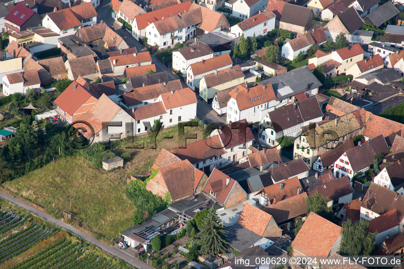 Drone image of Zeiskam in the state Rhineland-Palatinate, Germany