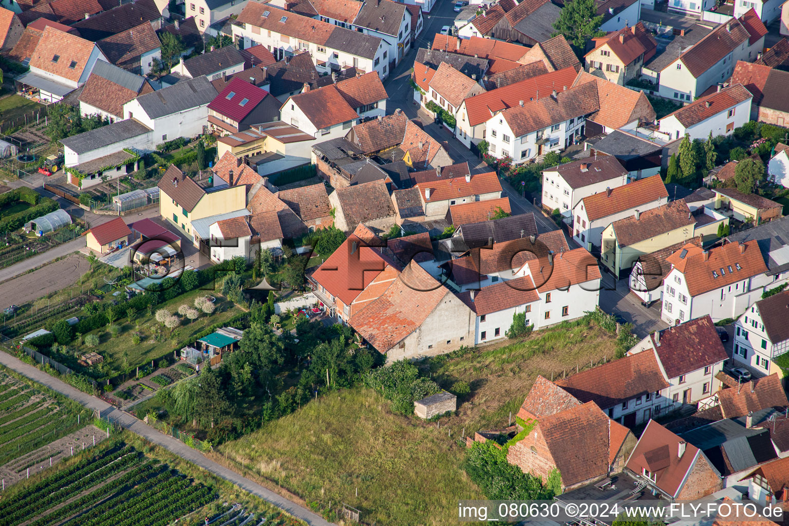 Zeiskam in the state Rhineland-Palatinate, Germany from the drone perspective