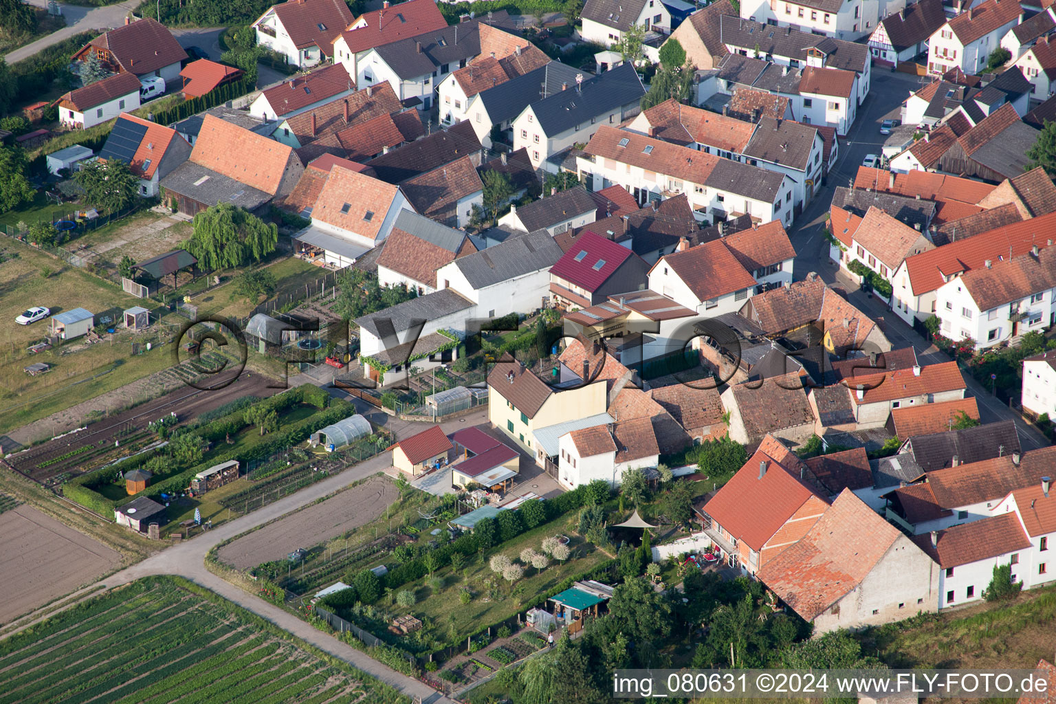 Zeiskam in the state Rhineland-Palatinate, Germany from a drone