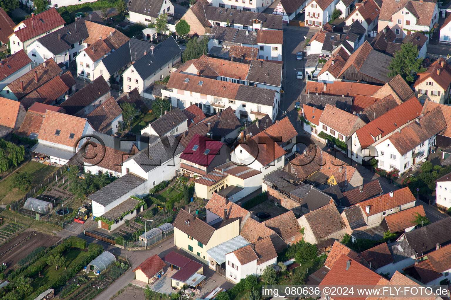 Zeiskam in the state Rhineland-Palatinate, Germany from above