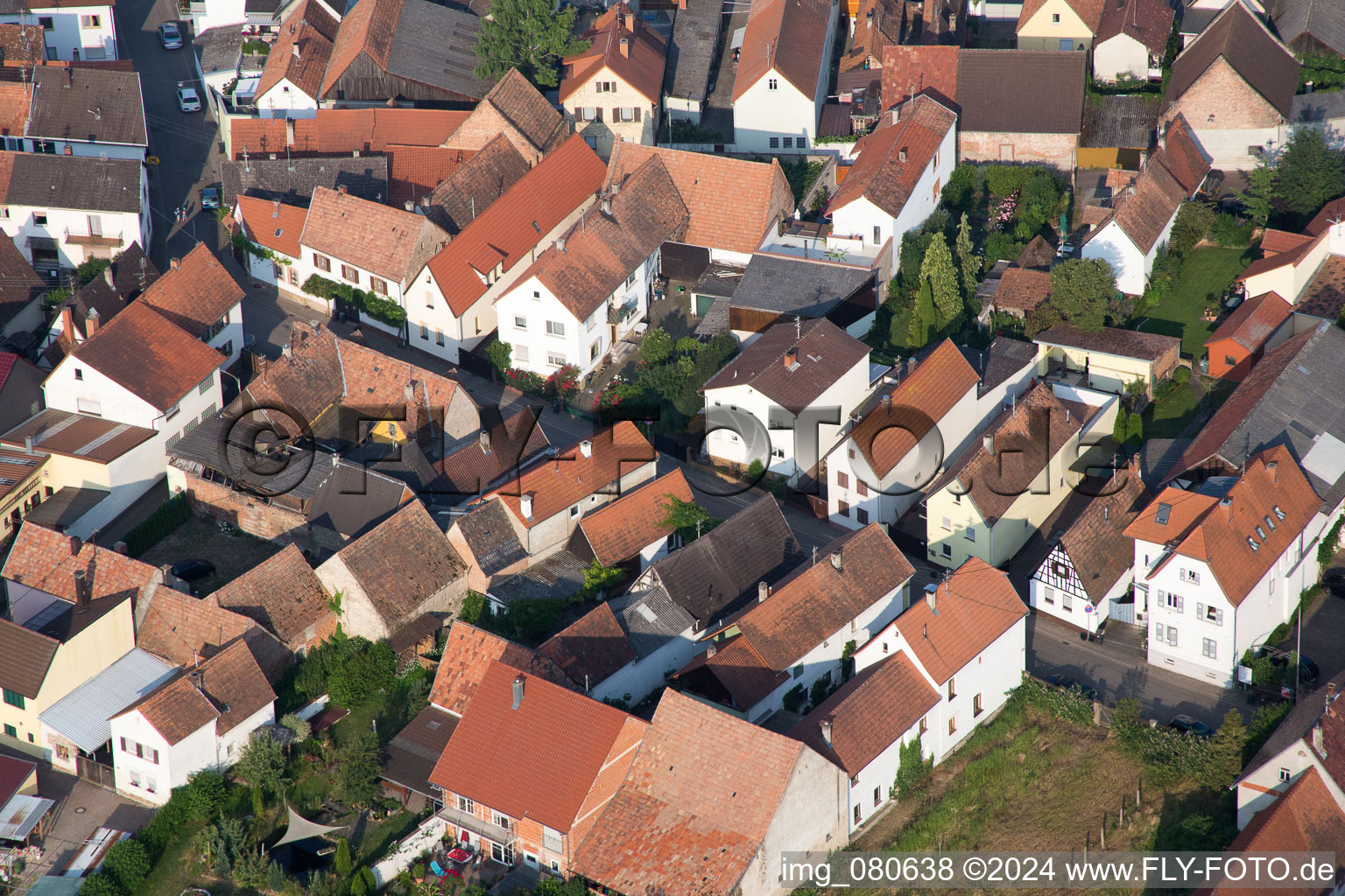 Zeiskam in the state Rhineland-Palatinate, Germany seen from above