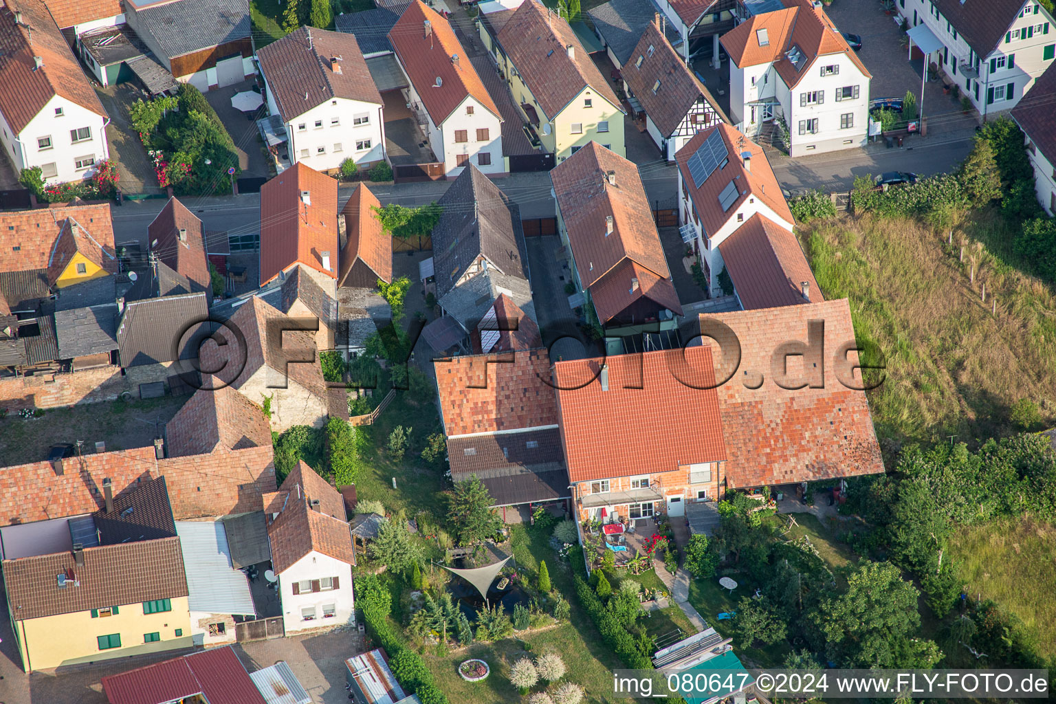 Aerial view of Zeiskam in the state Rhineland-Palatinate, Germany