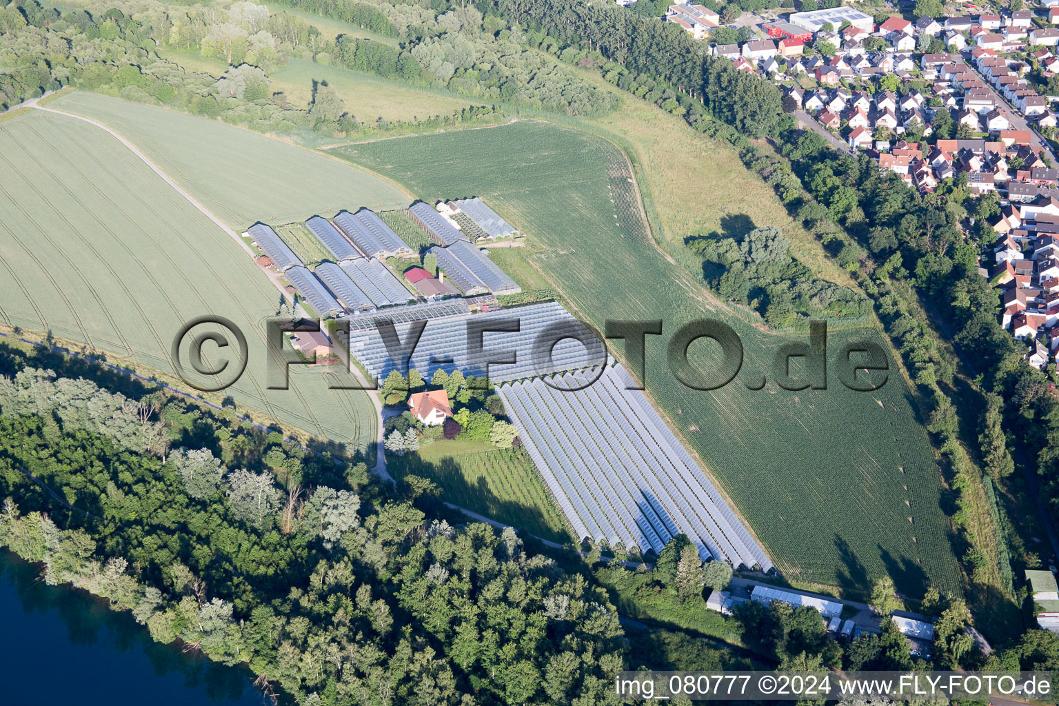 District Leopoldshafen in Eggenstein-Leopoldshafen in the state Baden-Wuerttemberg, Germany