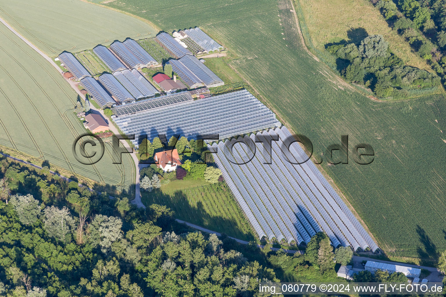 Aerial view of Glass roof surfaces in the greenhouse for vegetable growing ranks in the district Leopoldshafen in Eggenstein-Leopoldshafen in the state Baden-Wurttemberg, Germany