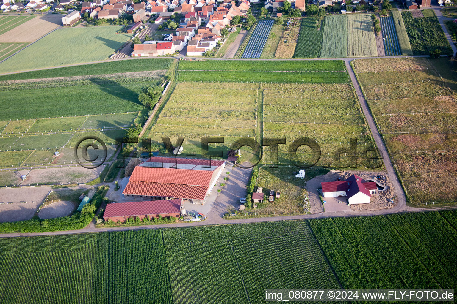 Hatzenbühl in the state Rhineland-Palatinate, Germany viewn from the air