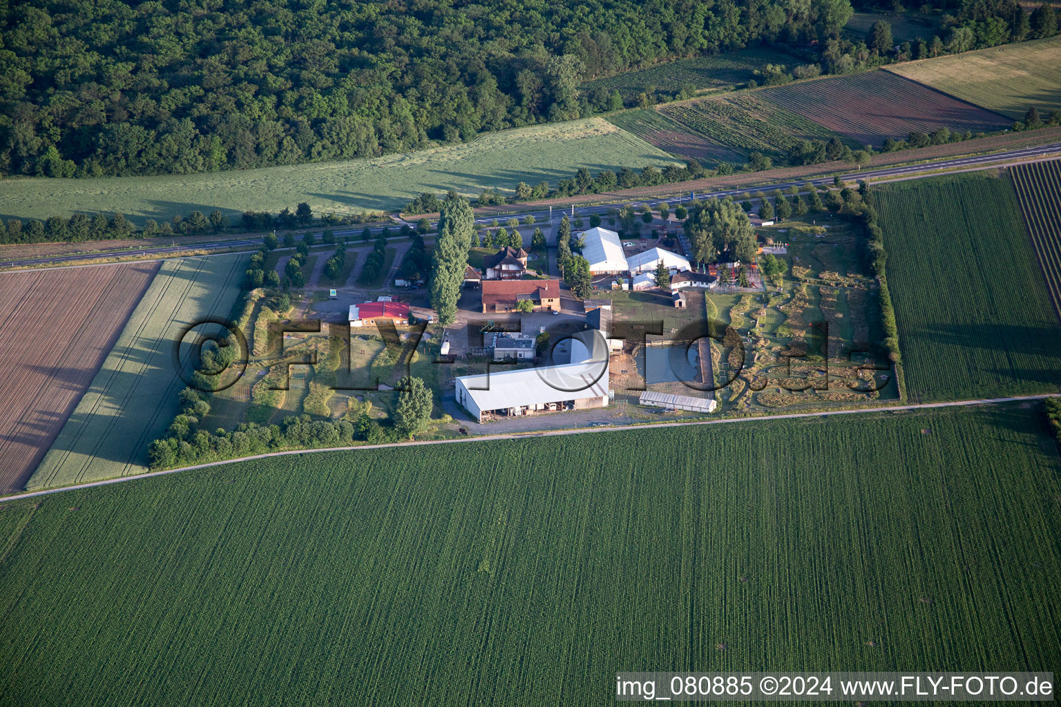 Hatzenbühl in the state Rhineland-Palatinate, Germany seen from a drone