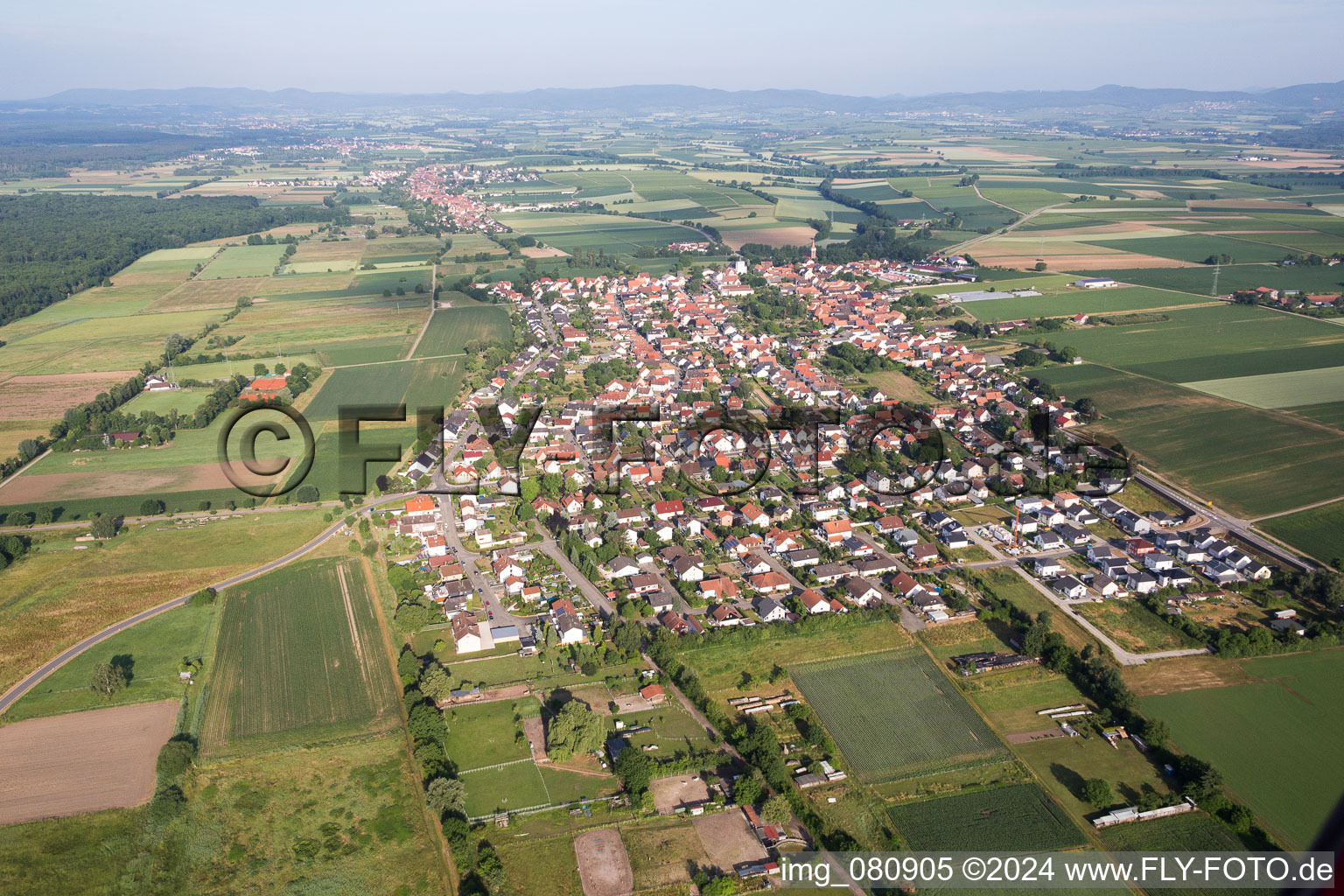 Town View of the streets and houses of the residential areas in Minfeld in the state Rhineland-Palatinate, Germany