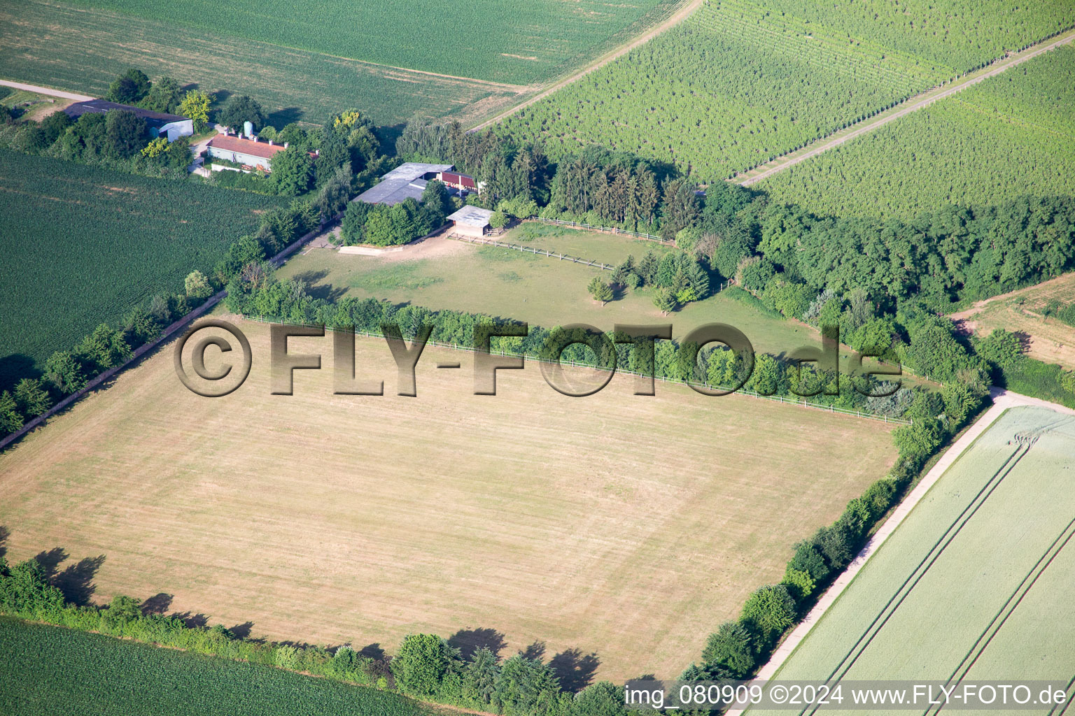 Oblique view of Gallows Hill in Minfeld in the state Rhineland-Palatinate, Germany