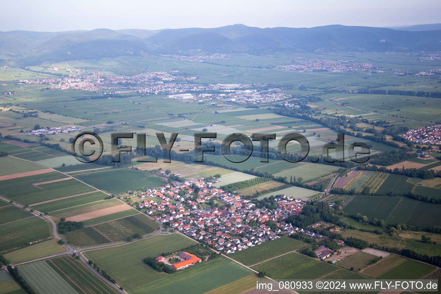 Großfischlingen in the state Rhineland-Palatinate, Germany from above