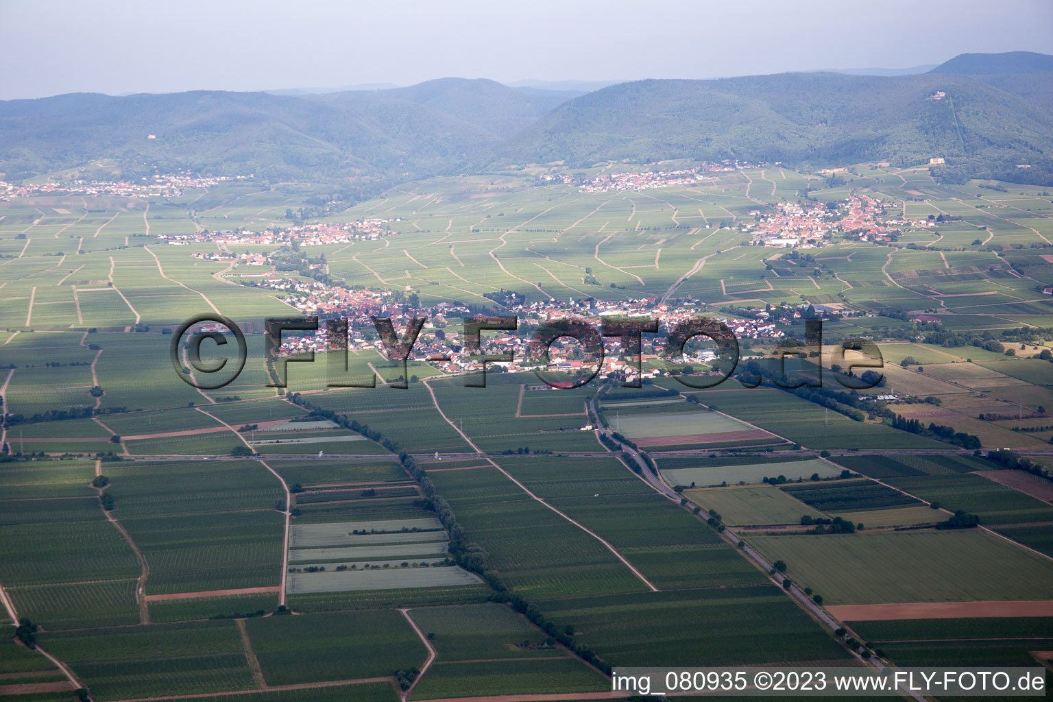 From the east in Edesheim in the state Rhineland-Palatinate, Germany