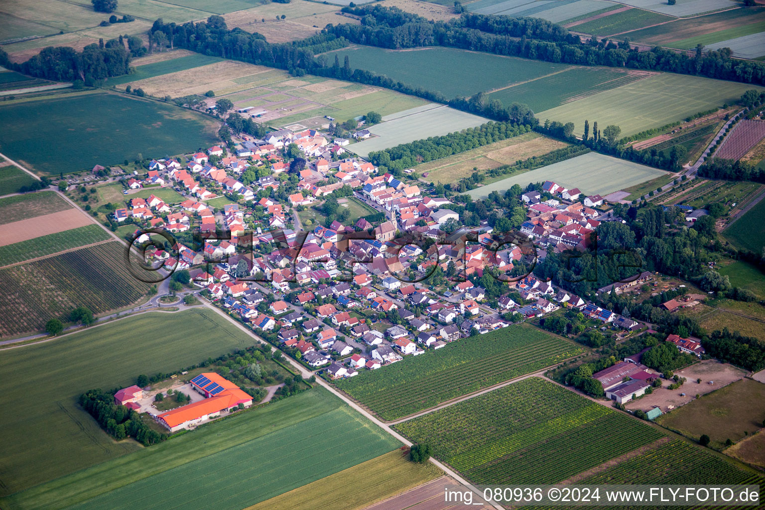 Village - view on the edge of agricultural fields and farmland in Grossfischlingen in the state Rhineland-Palatinate, Germany