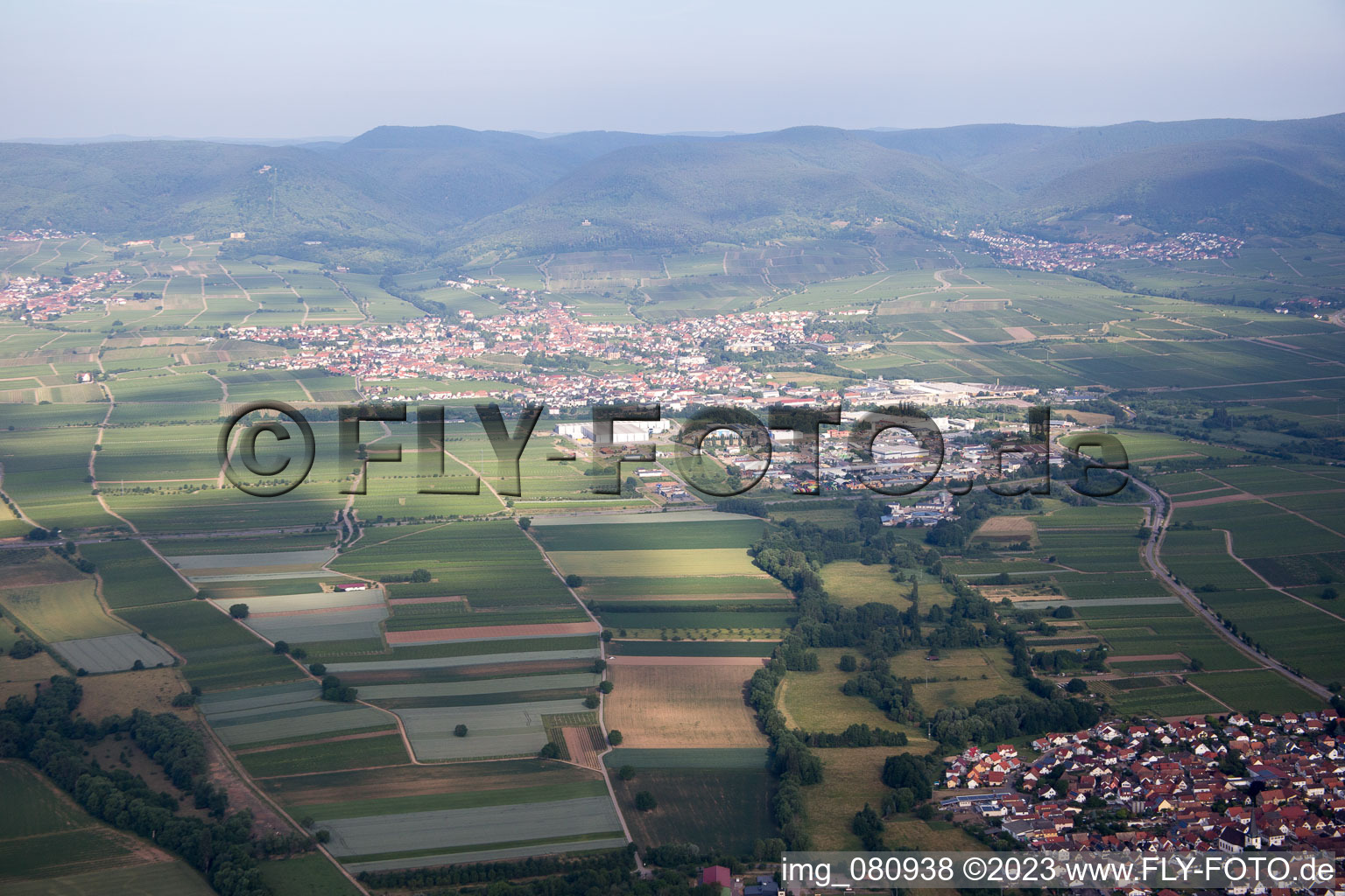 From the east in Edenkoben in the state Rhineland-Palatinate, Germany