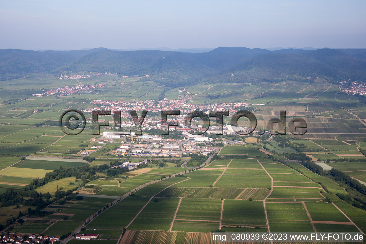 Edenkoben in the state Rhineland-Palatinate, Germany