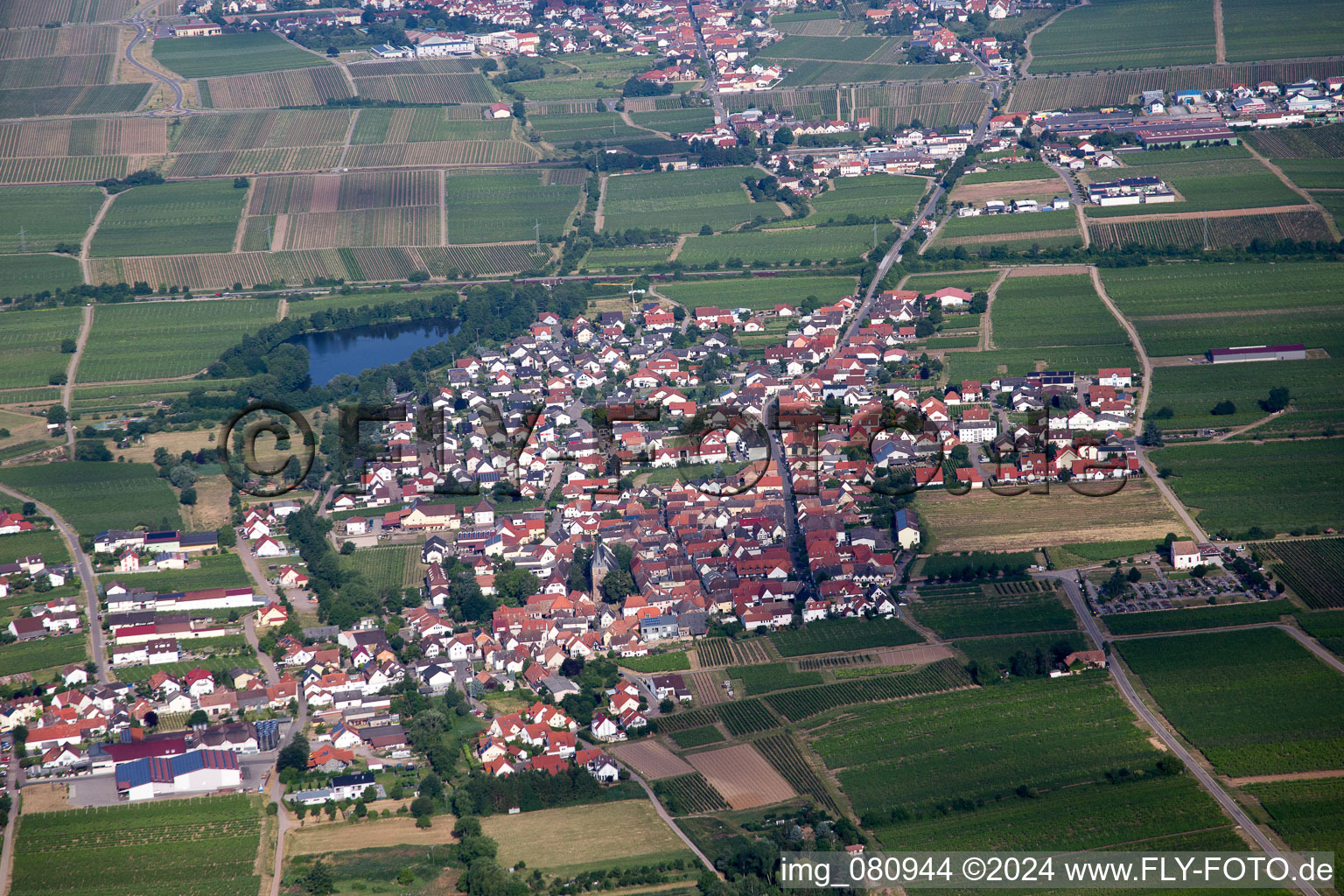 Oblique view of Kirrweiler in the state Rhineland-Palatinate, Germany