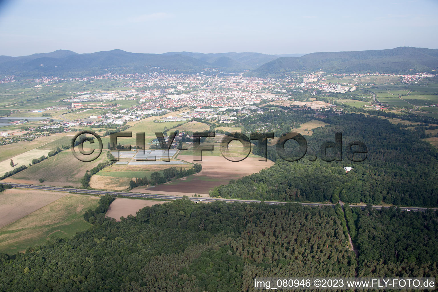 Aerial photograpy of District Speyerdorf in Neustadt an der Weinstraße in the state Rhineland-Palatinate, Germany