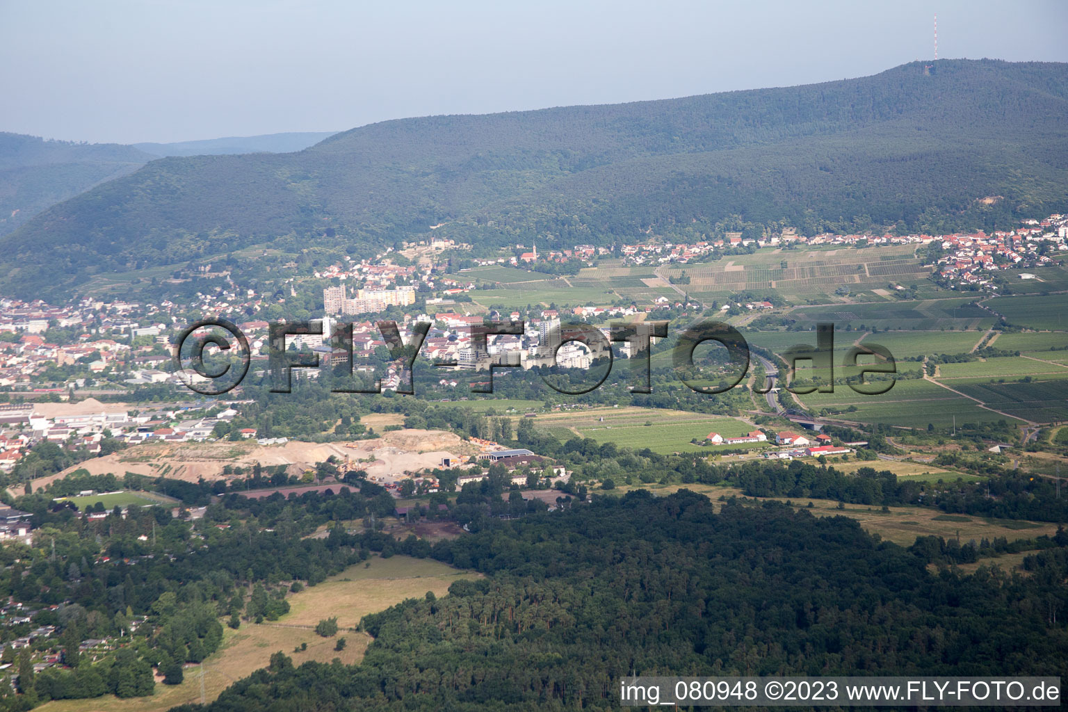 Aerial view of Neustadt an der Weinstraße in the state Rhineland-Palatinate, Germany