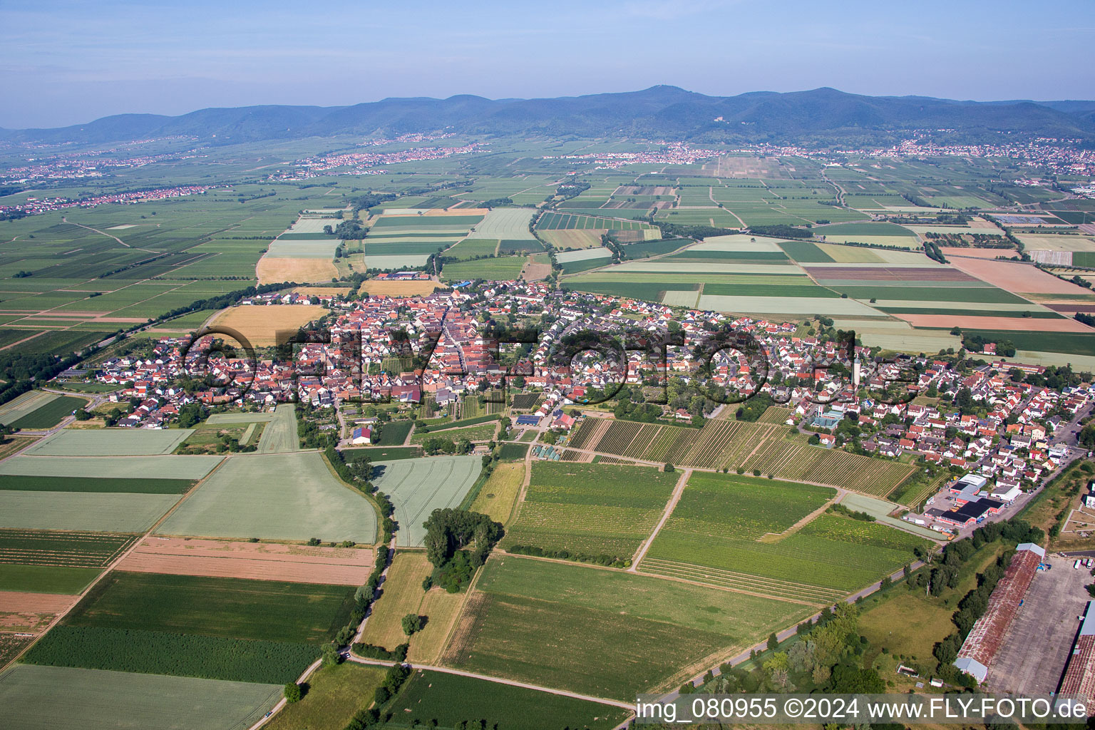 District Lachen in Neustadt an der Weinstraße in the state Rhineland-Palatinate, Germany from above