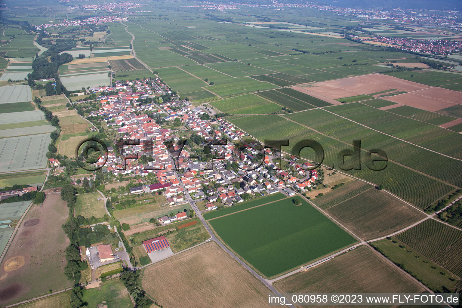 Aerial view of District Duttweiler in Neustadt an der Weinstraße in the state Rhineland-Palatinate, Germany