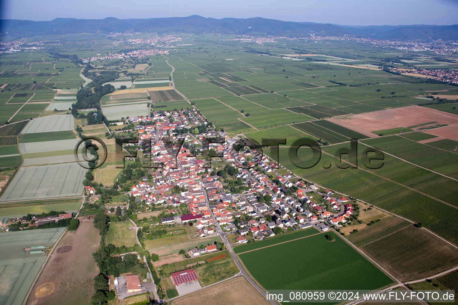 Aerial photograpy of District Duttweiler in Neustadt an der Weinstraße in the state Rhineland-Palatinate, Germany