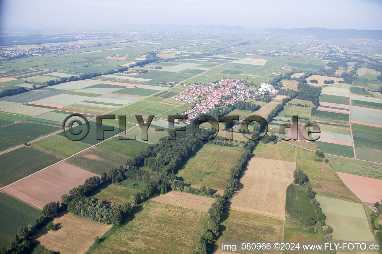 Freimersheim in the state Rhineland-Palatinate, Germany