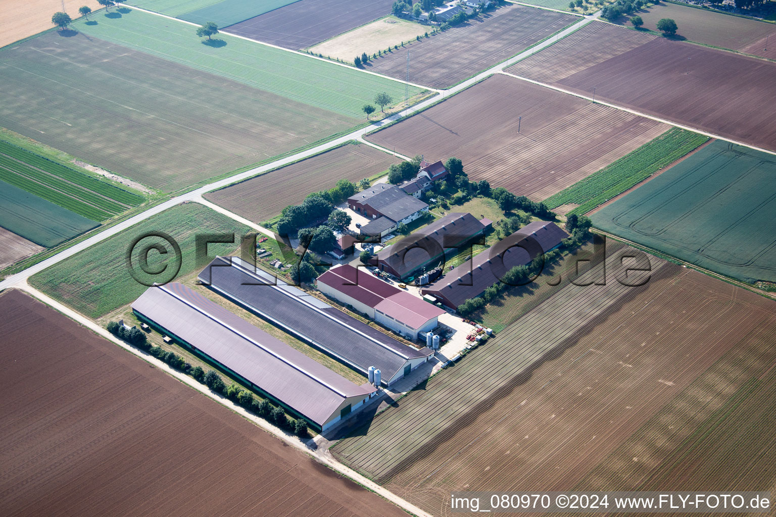 Zeiskam in the state Rhineland-Palatinate, Germany seen from a drone