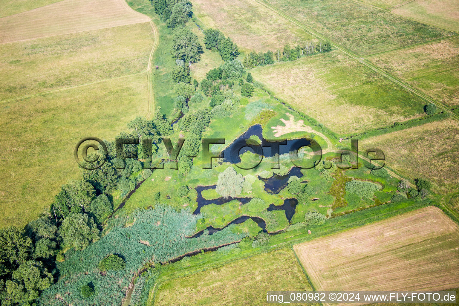 Ponds and Morast- water surface in a pond landscape in Knittelsheim in the state Rhineland-Palatinate