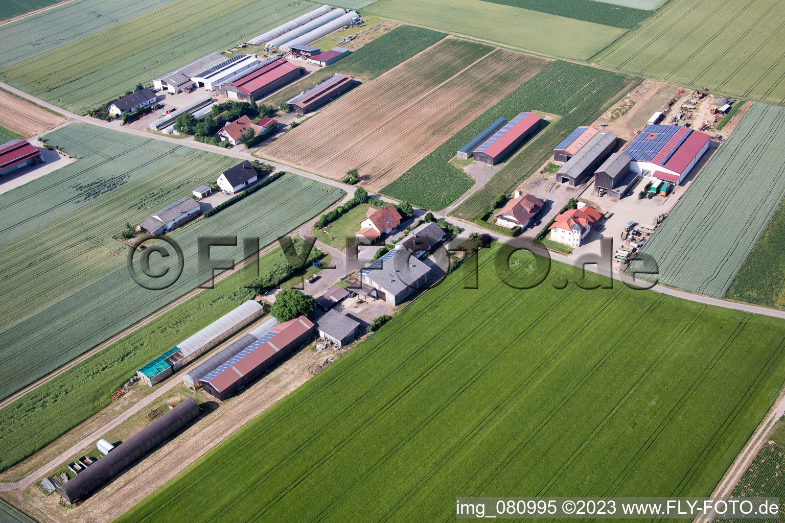 District Herxheim in Herxheim bei Landau/Pfalz in the state Rhineland-Palatinate, Germany seen from a drone
