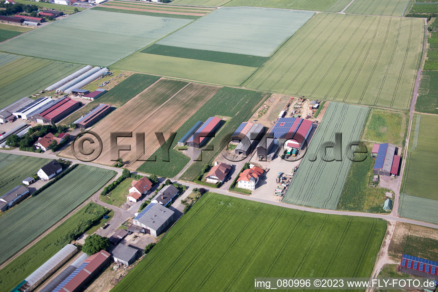 Aerial view of District Herxheim in Herxheim bei Landau in the state Rhineland-Palatinate, Germany