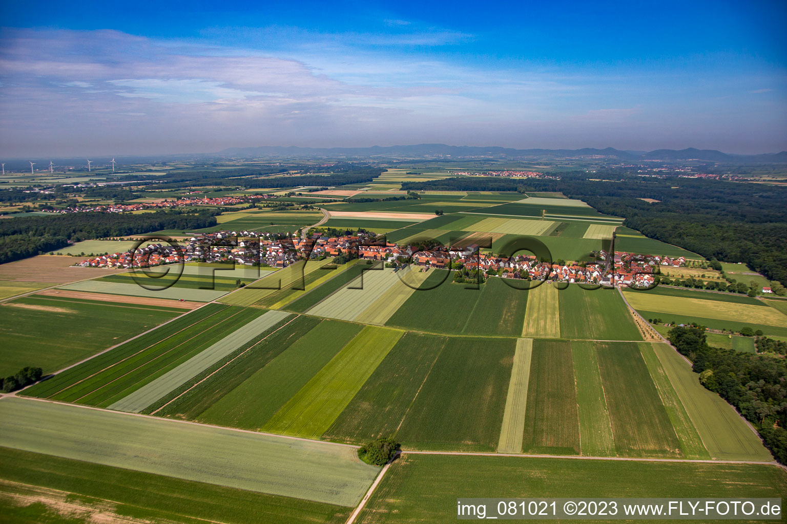 Aerial photograpy of District Hayna in Herxheim bei Landau in the state Rhineland-Palatinate, Germany