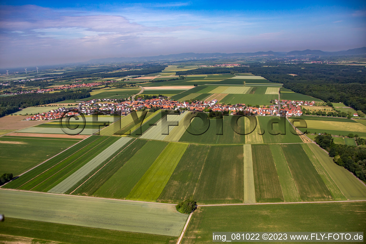 Oblique view of District Hayna in Herxheim bei Landau in the state Rhineland-Palatinate, Germany