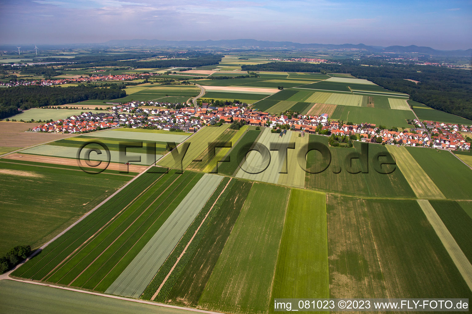 District Hayna in Herxheim bei Landau in the state Rhineland-Palatinate, Germany from above