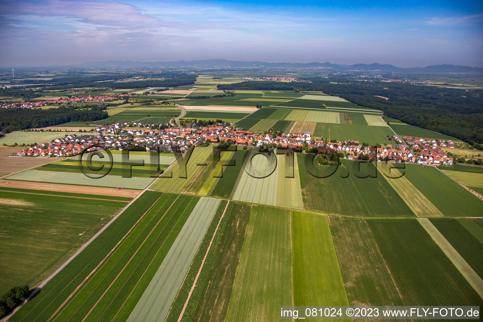 District Hayna in Herxheim bei Landau in the state Rhineland-Palatinate, Germany out of the air