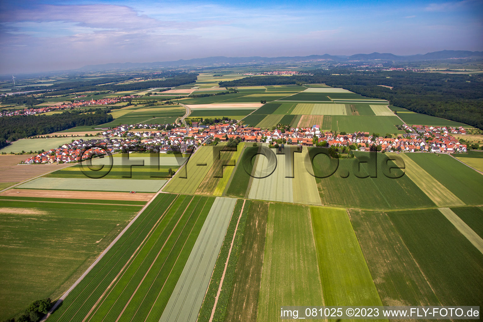 District Hayna in Herxheim bei Landau/Pfalz in the state Rhineland-Palatinate, Germany seen from above