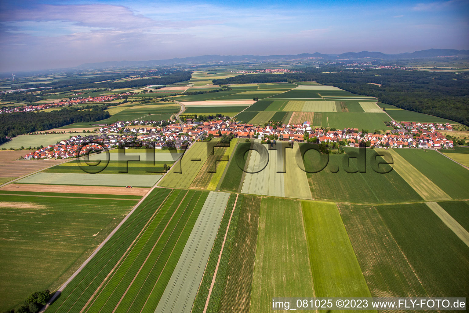 District Hayna in Herxheim bei Landau in the state Rhineland-Palatinate, Germany seen from above