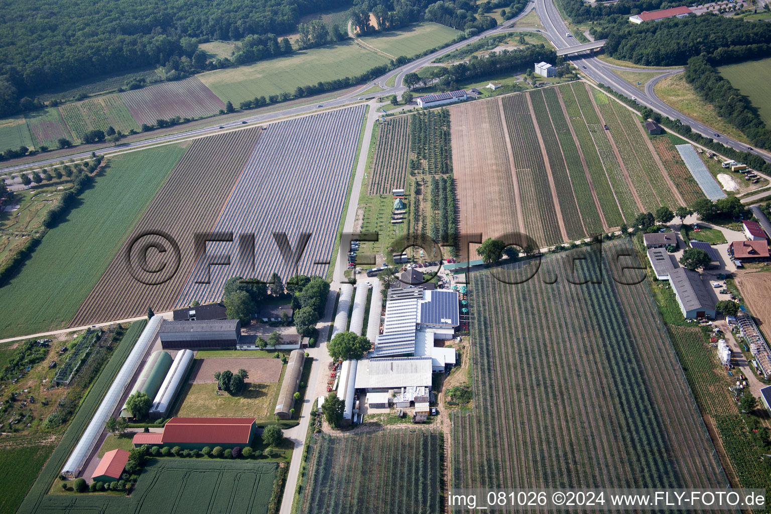 Kandel in the state Rhineland-Palatinate, Germany from the drone perspective