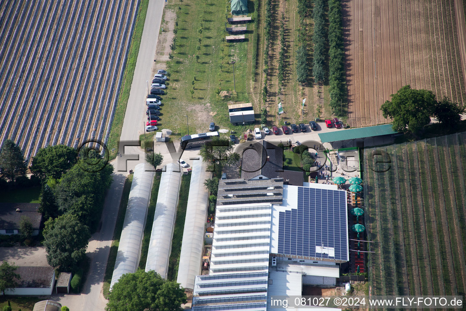 Kandel in the state Rhineland-Palatinate, Germany from a drone