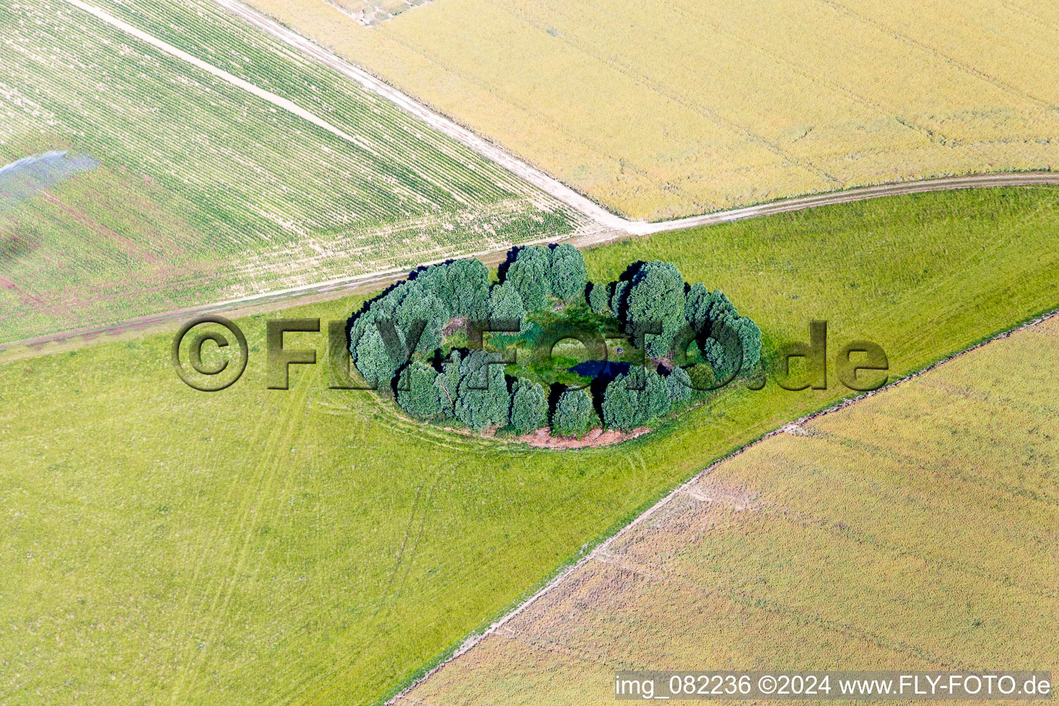 Trees around a small, urond pond on a field in Rhodon in Centre-Val de Loire, France