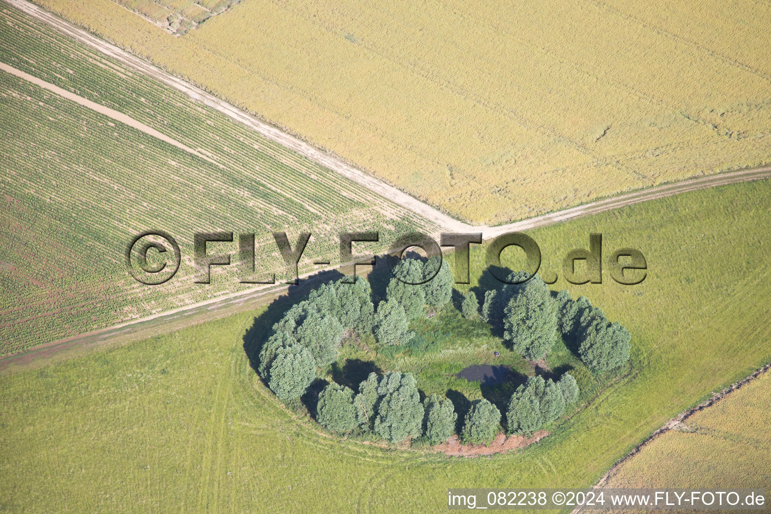 Aerial view of Rhodon in the state Loir et Cher, France