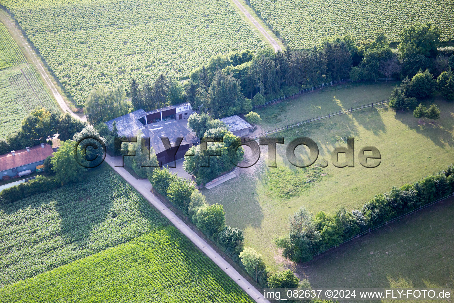 Minfeld in the state Rhineland-Palatinate, Germany from above