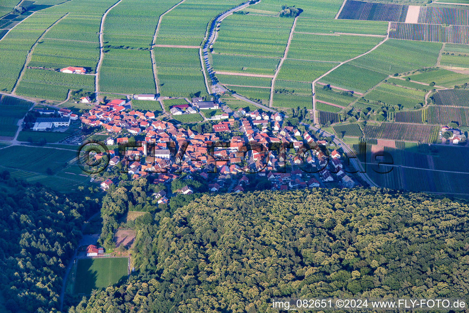 Oblique view of Eschbach in the state Rhineland-Palatinate, Germany