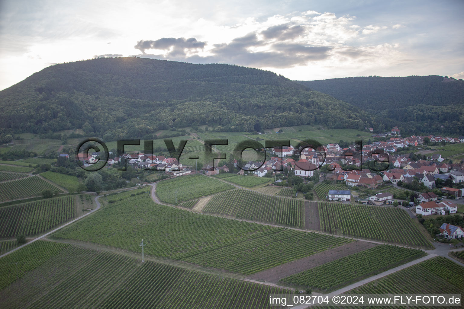 Oblique view of Weyher in der Pfalz in the state Rhineland-Palatinate, Germany