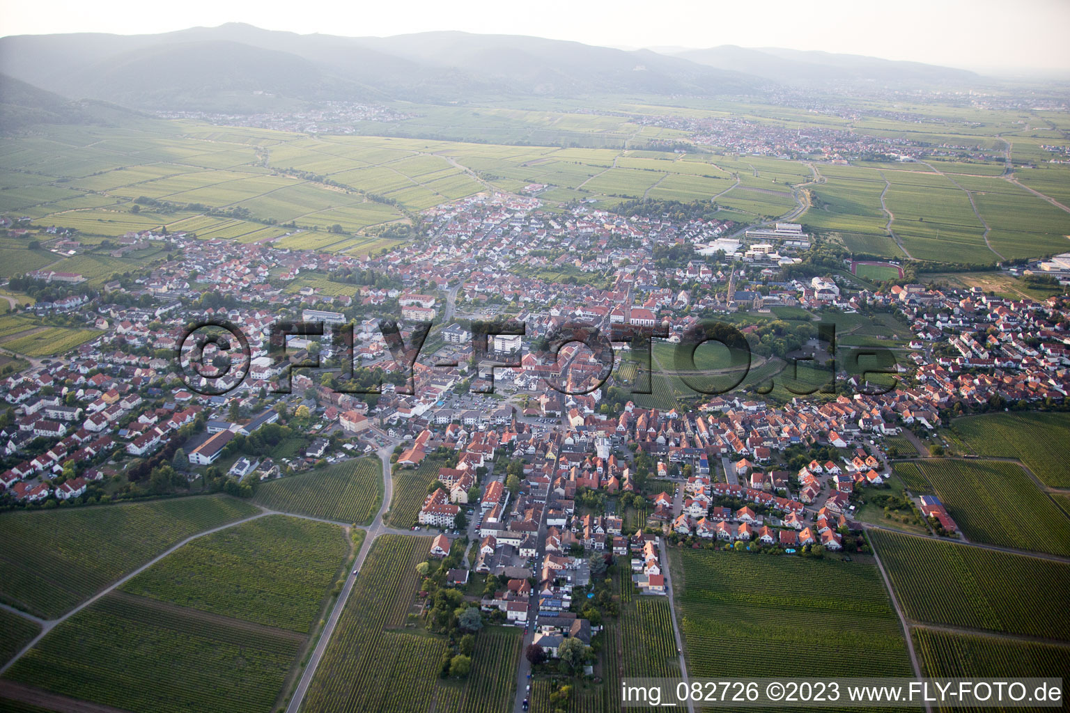 Aerial view of Edenkoben in the state Rhineland-Palatinate, Germany