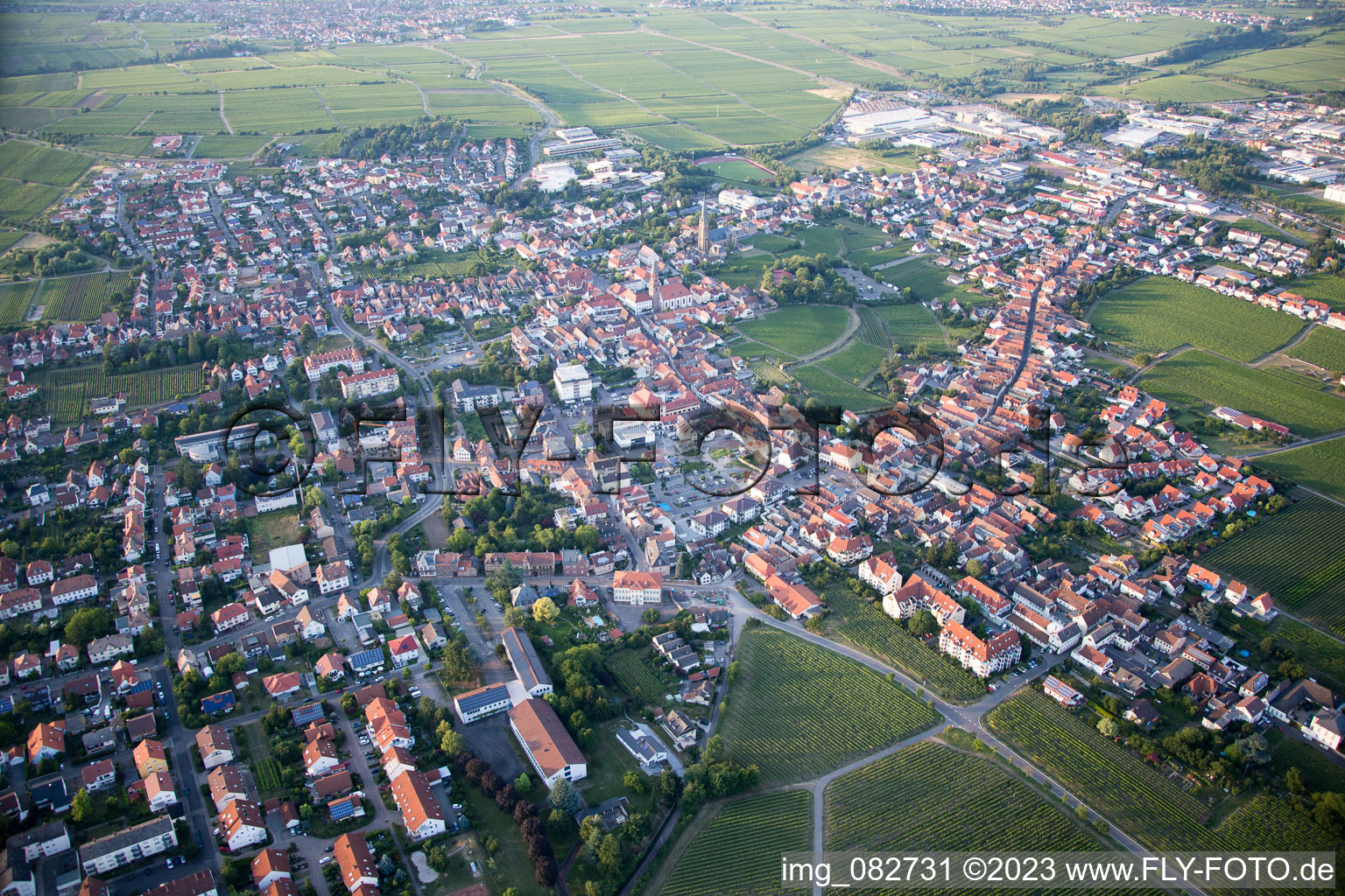 Edenkoben in the state Rhineland-Palatinate, Germany from above