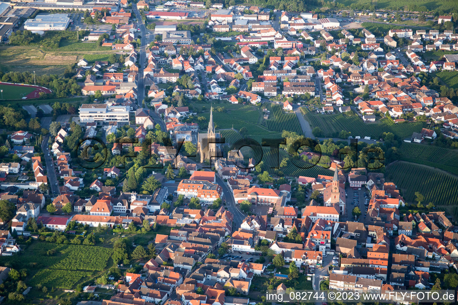 Edenkoben in the state Rhineland-Palatinate, Germany from a drone